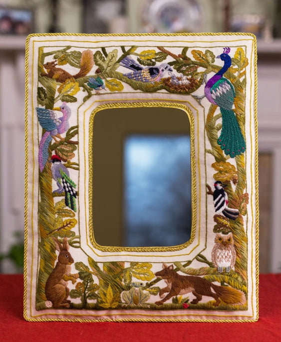 Aesop's Mirror Frame